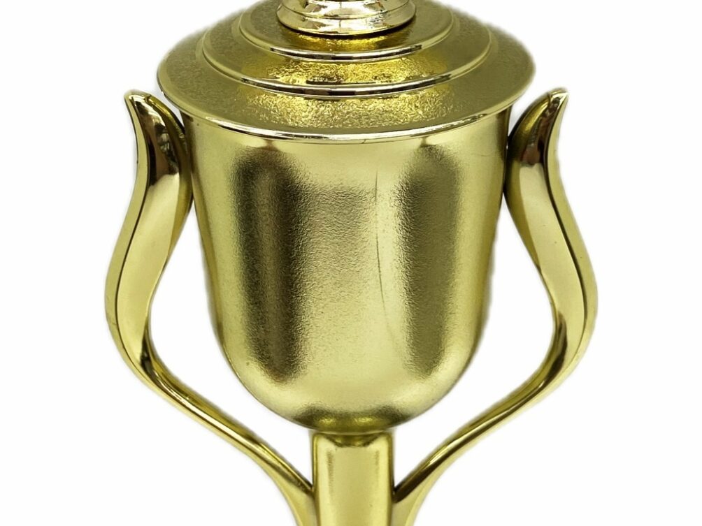 Hereford Steer Trophy 315mm