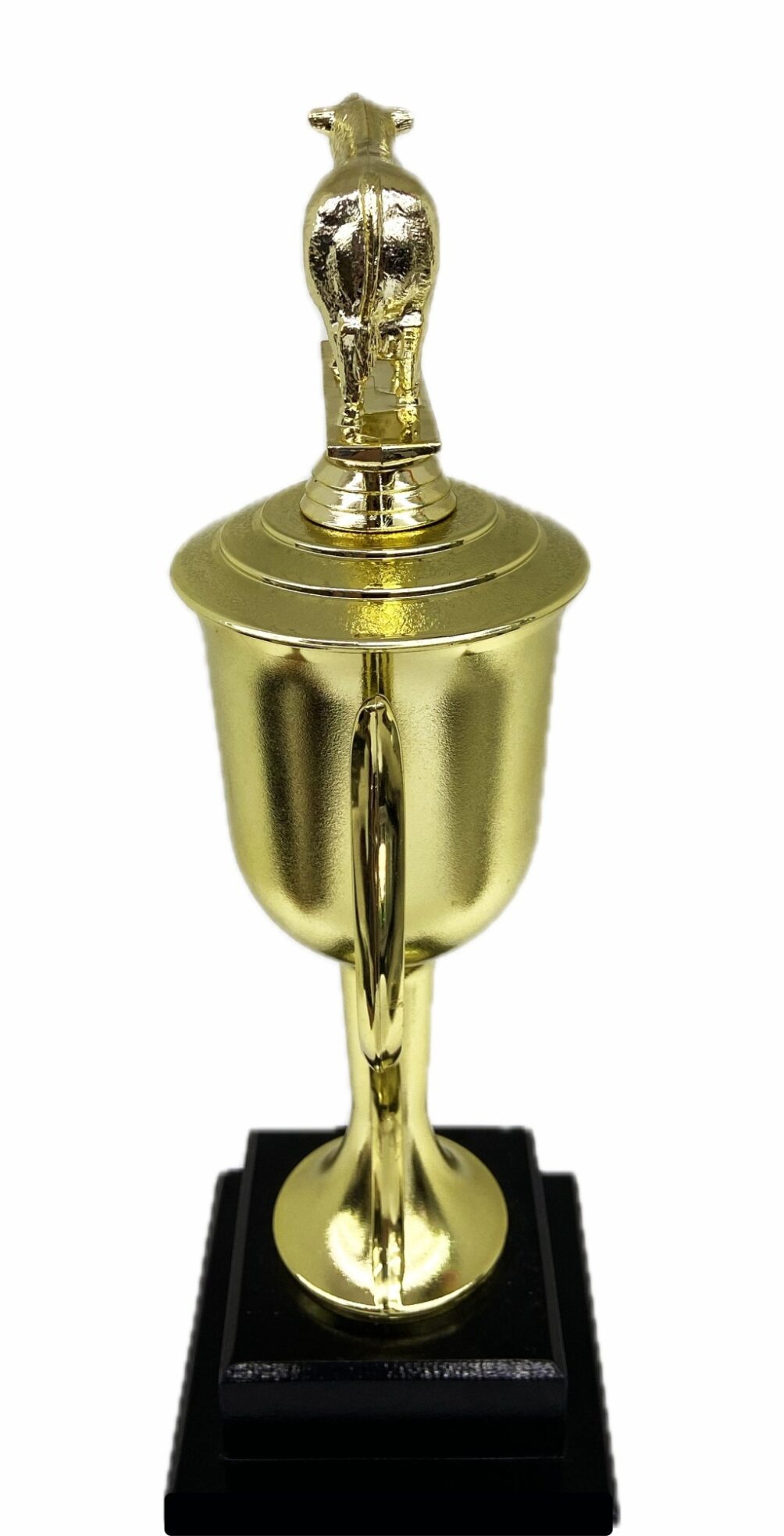 Hereford Steer Trophy 315mm