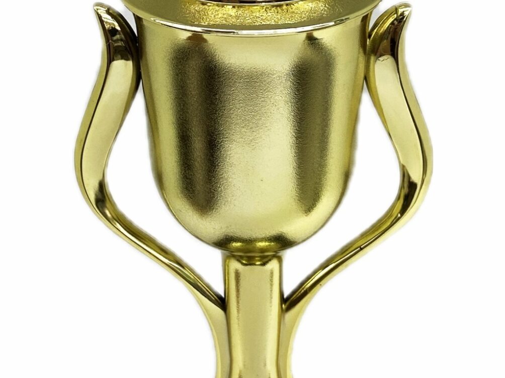 Hereford Steer Trophy 355mm