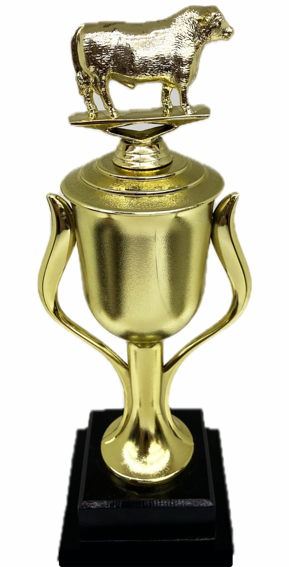 Hereford Steer Trophy 355mm
