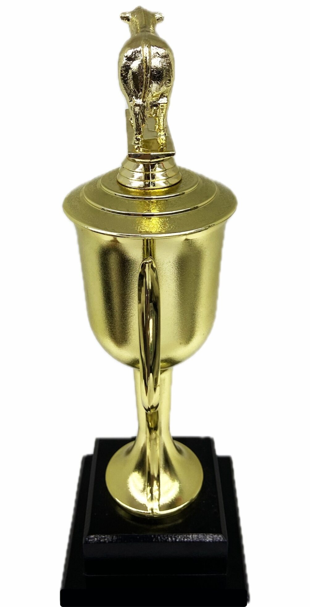 Hereford Steer Trophy 355mm