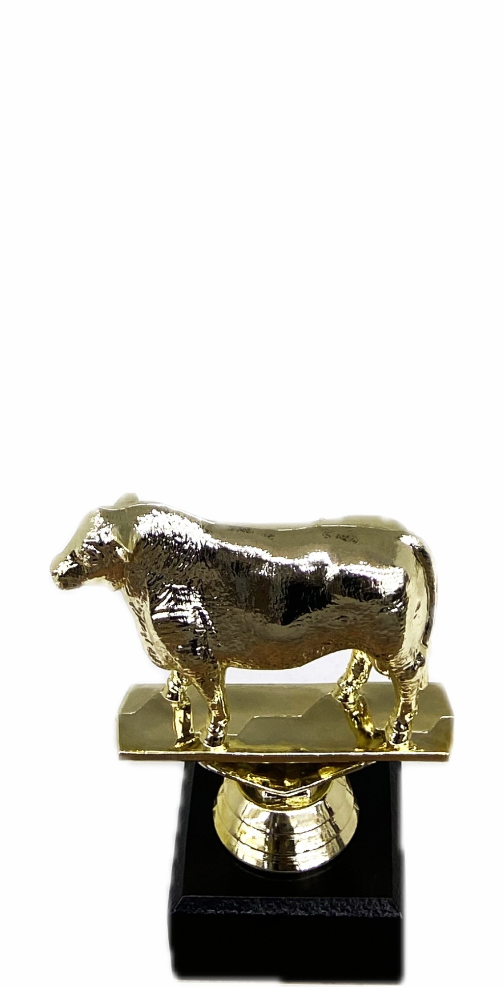 Hereford Steer Trophy 100mm