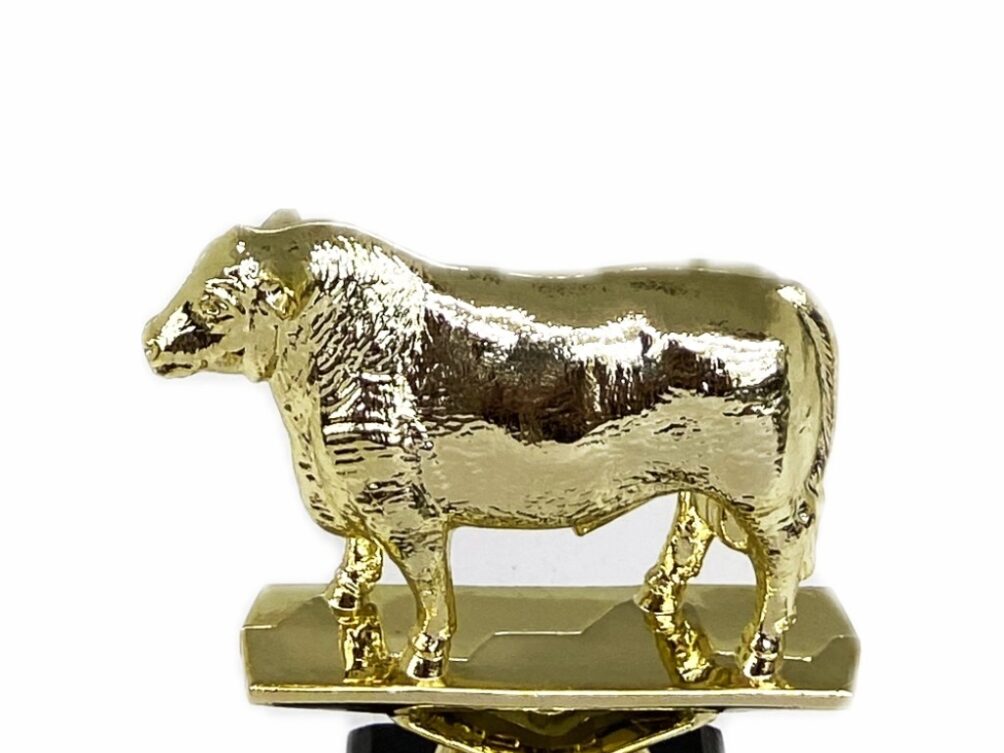 Hereford Steer Trophy 125mm