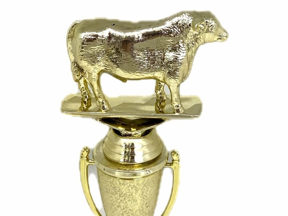 Angus Bull Trophy 215mm