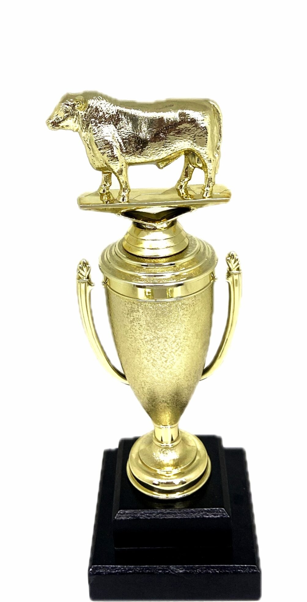 Angus Bull Trophy 275mm