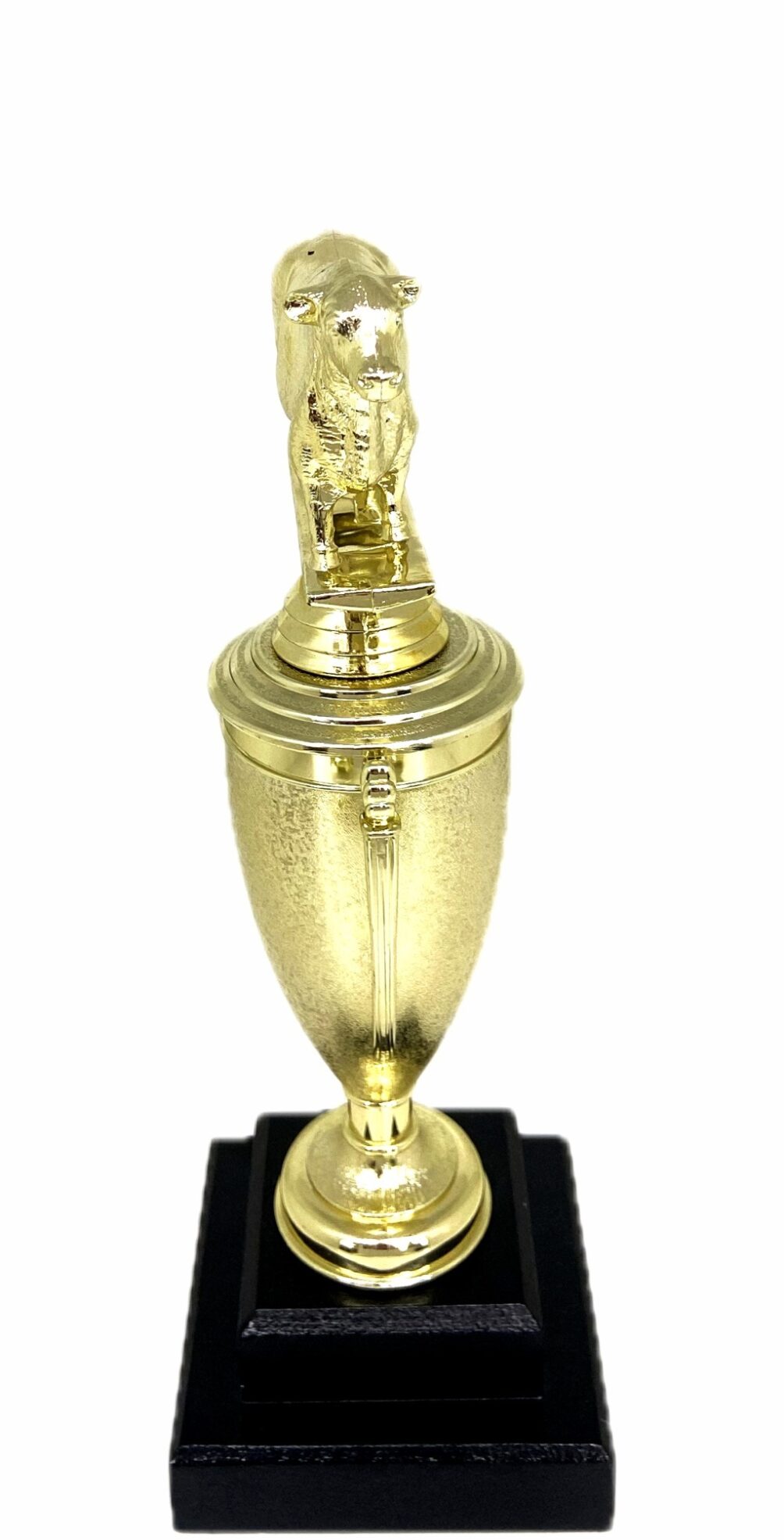 Angus Bull Trophy 275mm