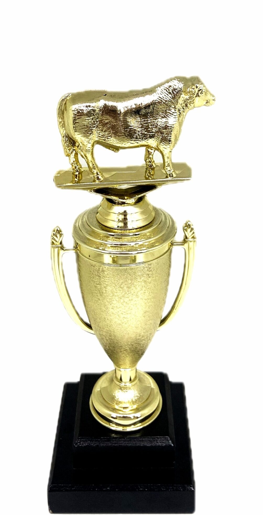 Angus Bull Trophy 275mm