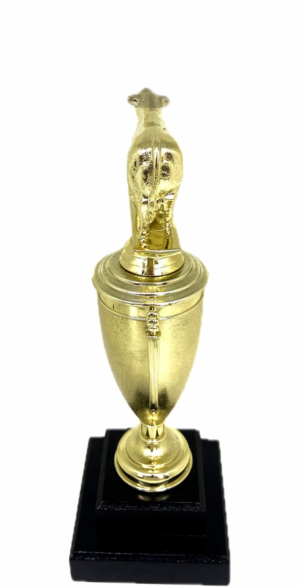 Angus Bull Trophy 275mm