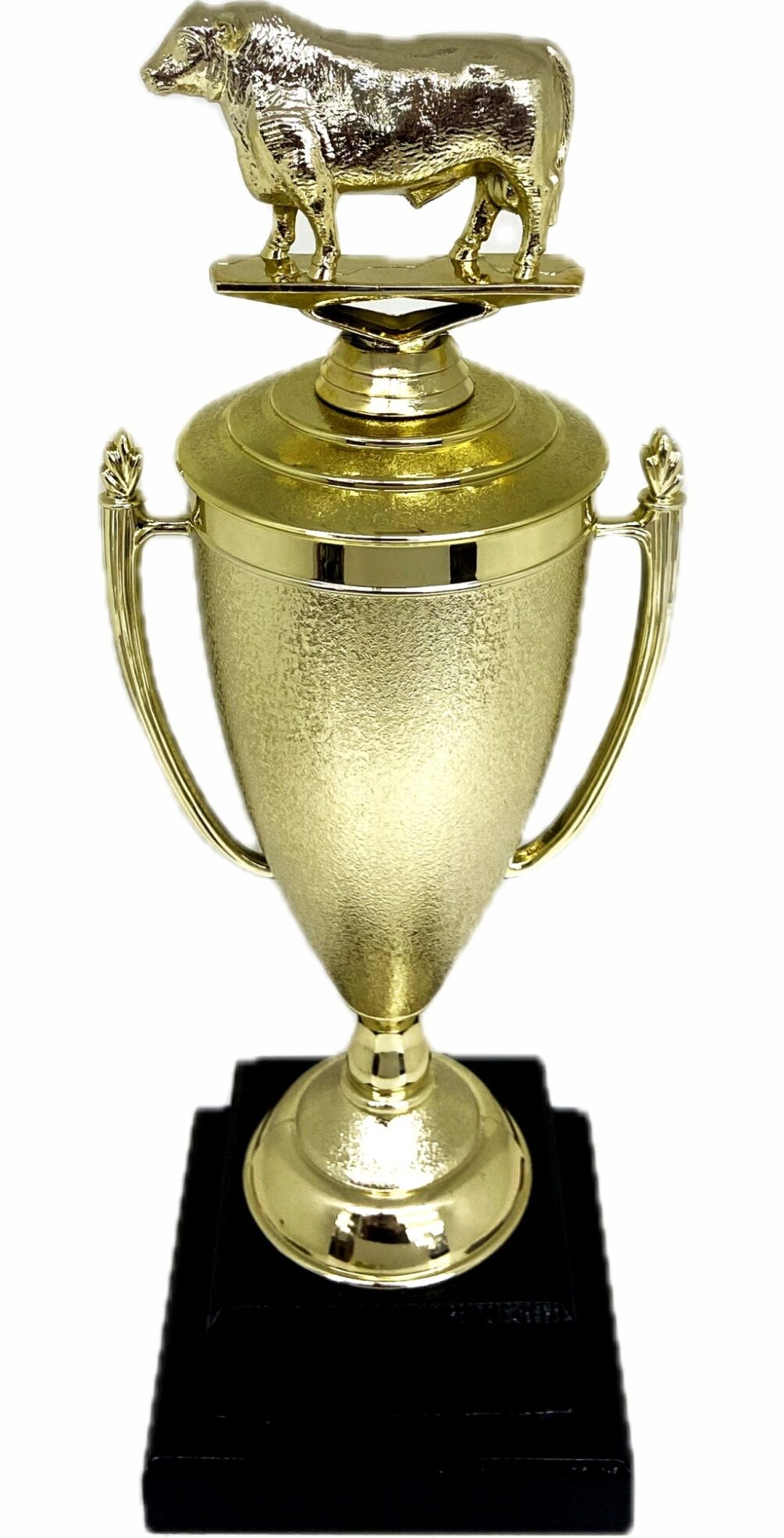 Angus Bull Trophy 355mm