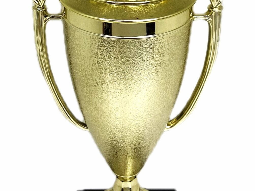 Angus Bull Trophy 355mm