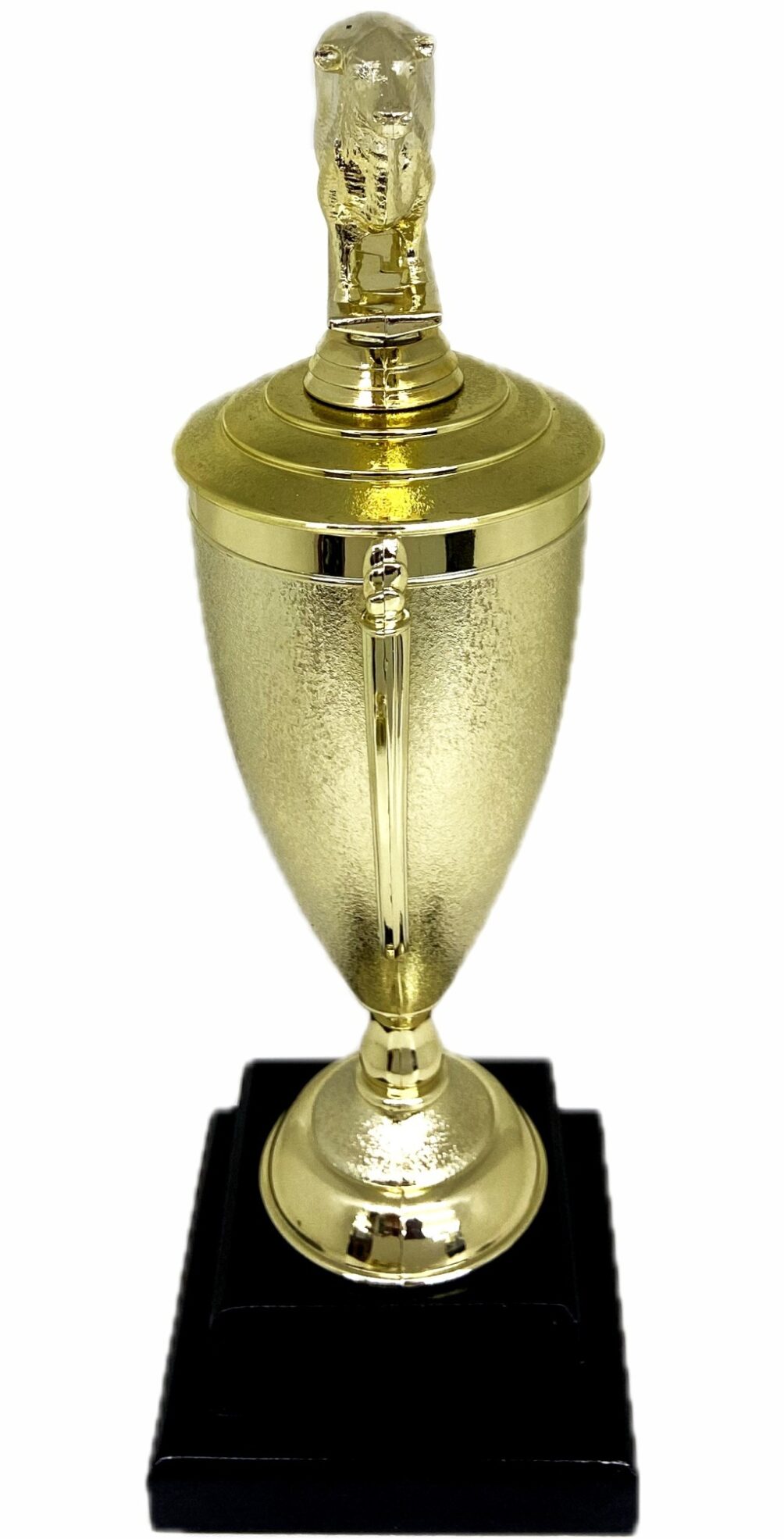 Angus Bull Trophy 355mm
