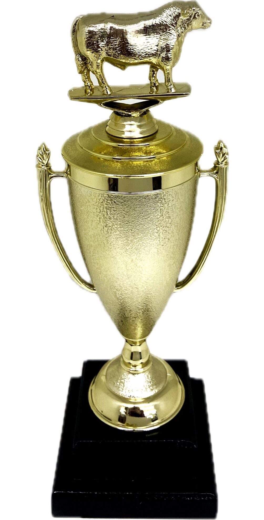 Angus Bull Trophy 355mm