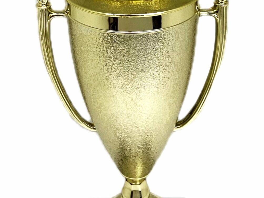 Angus Bull Trophy 355mm