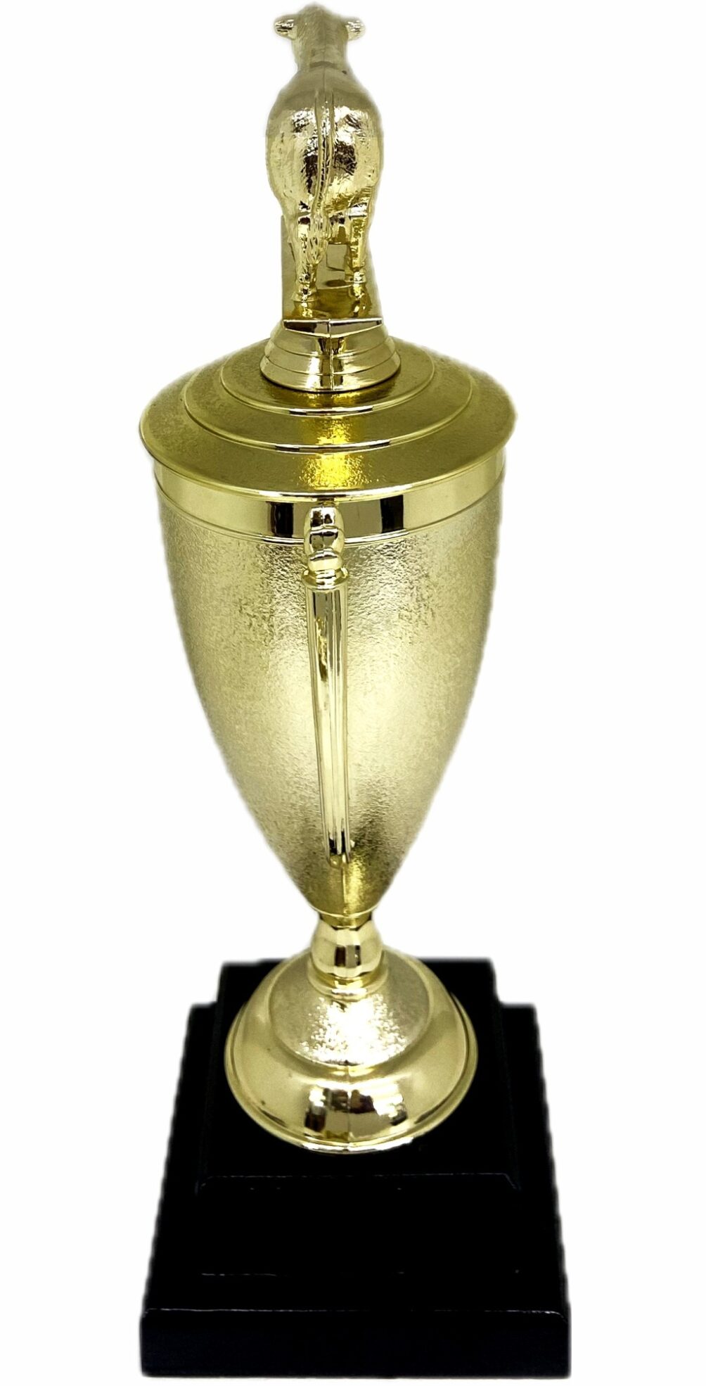 Angus Bull Trophy 355mm