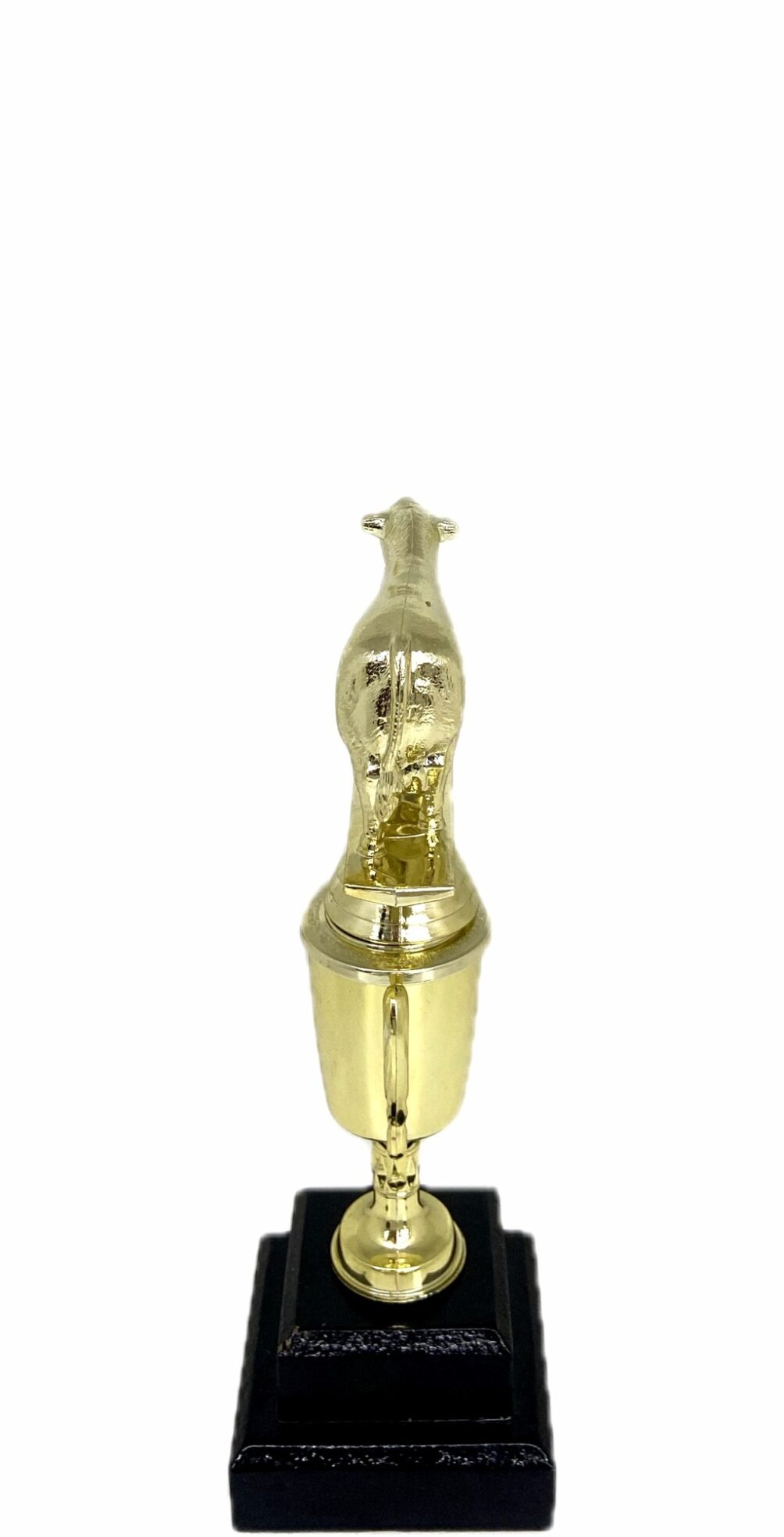 Angus Bull Trophy 215mm