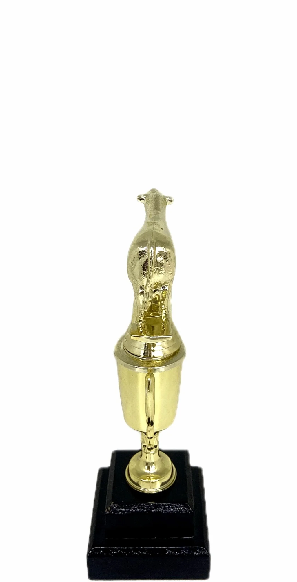 Angus Bull Trophy 215mm