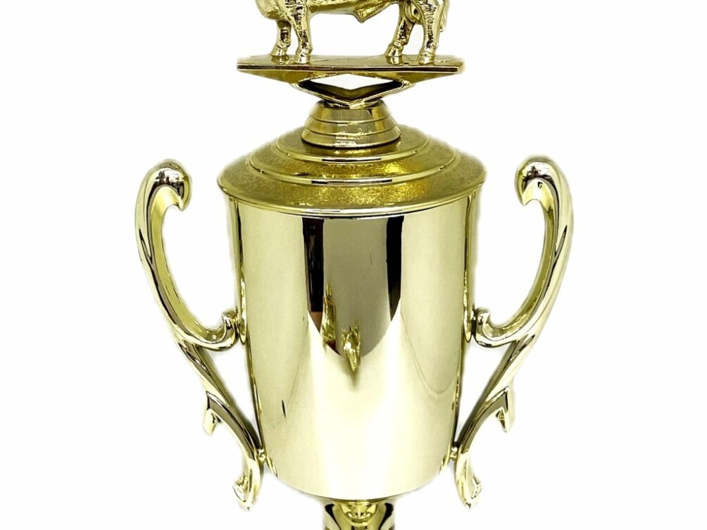 Angus Bull Trophy 240mm