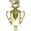 Angus Bull Trophy 240mm