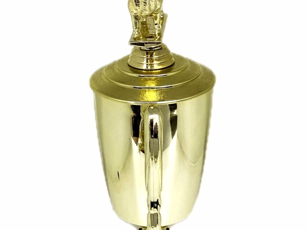 Angus Bull Trophy 240mm
