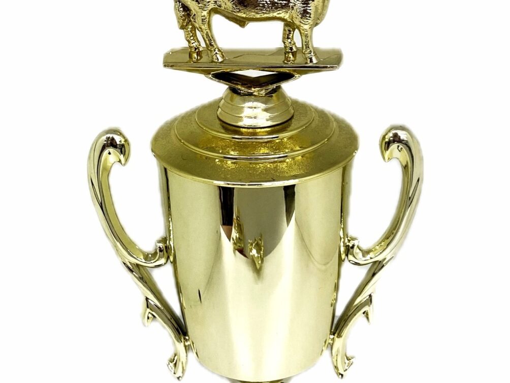 Angus Bull Trophy 240mm