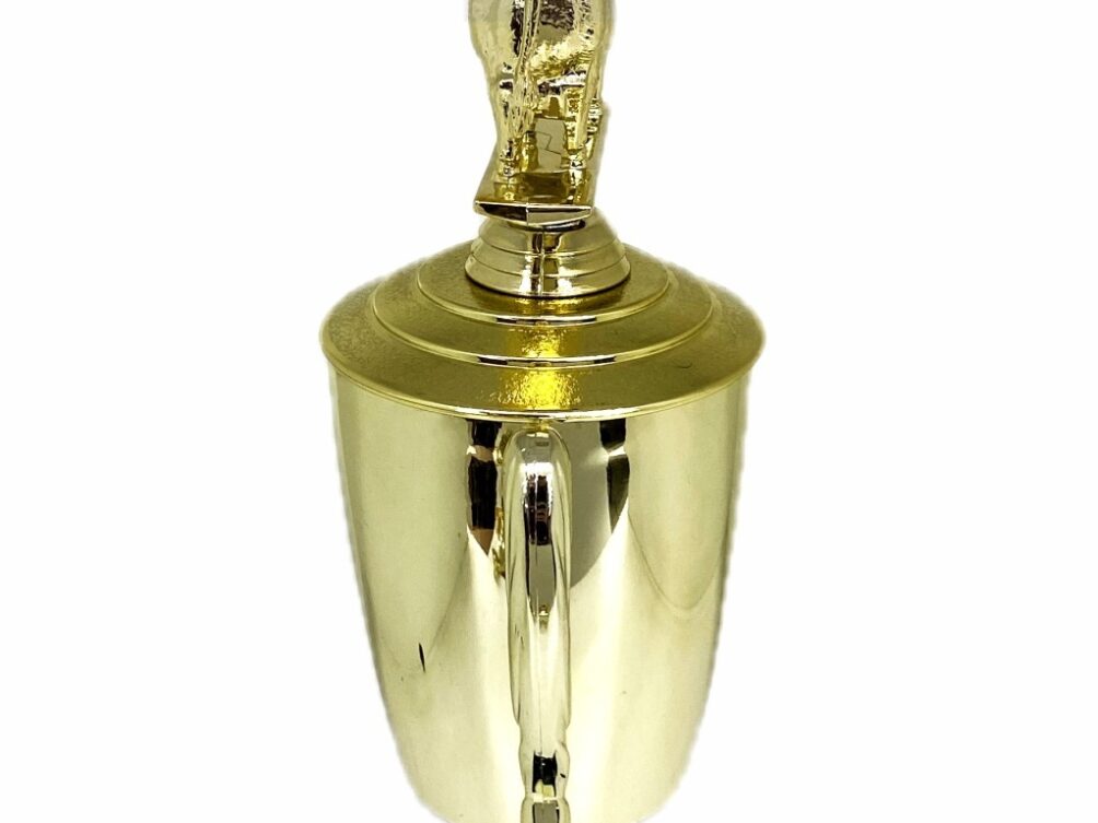 Angus Bull Trophy 240mm