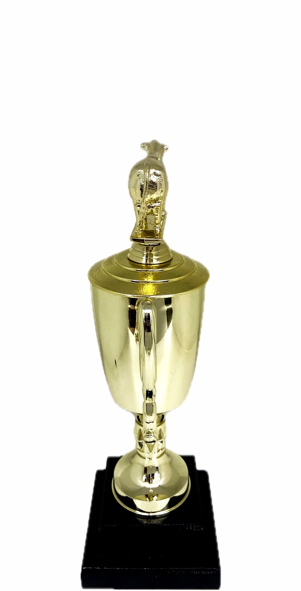 Angus Bull Trophy 240mm