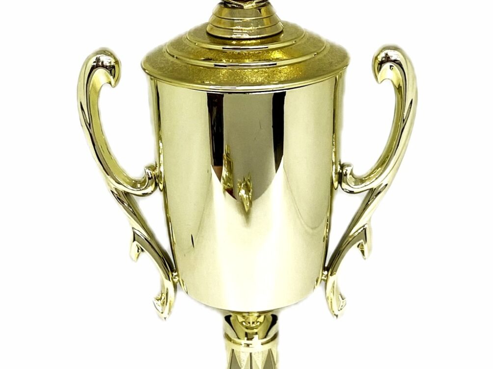 Angus Bull Trophy 275mm