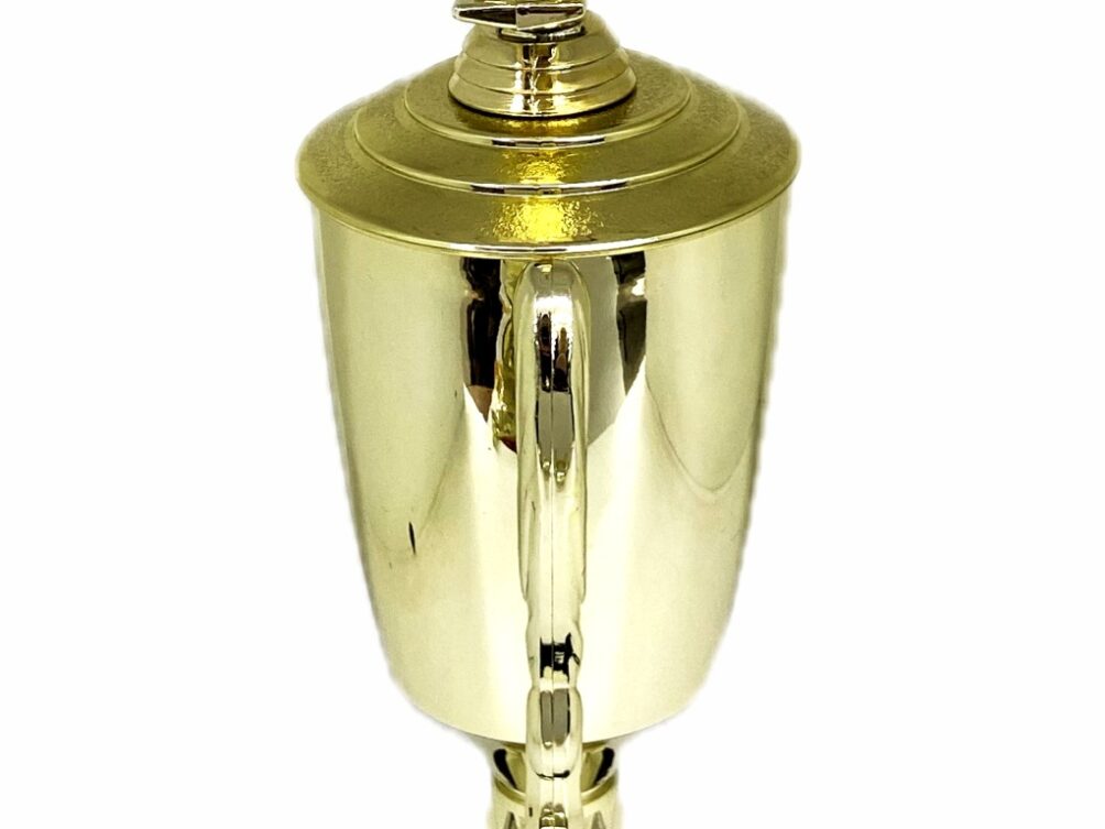 Angus Bull Trophy 275mm