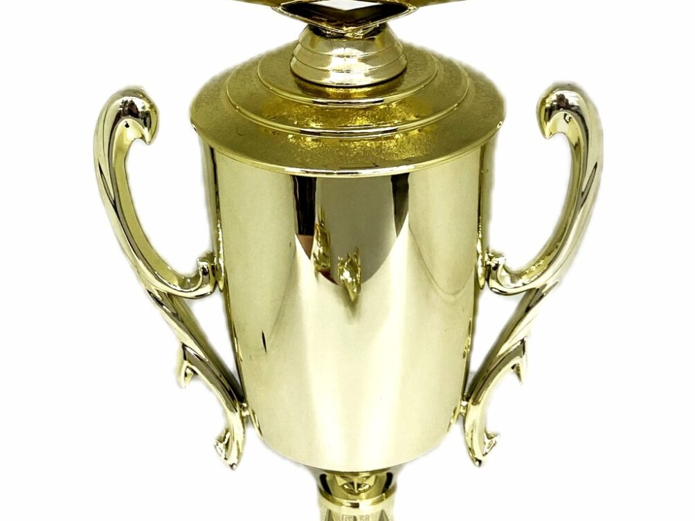 Angus Bull Trophy 275mm