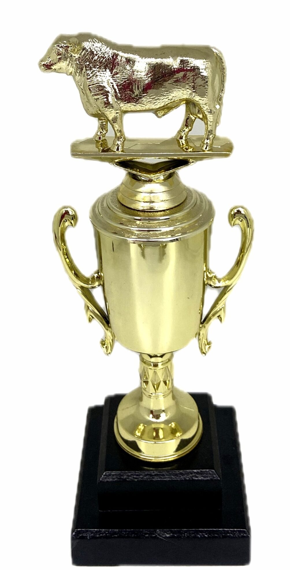 Angus Bull Trophy 315mm