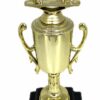 Angus Bull Trophy 315mm