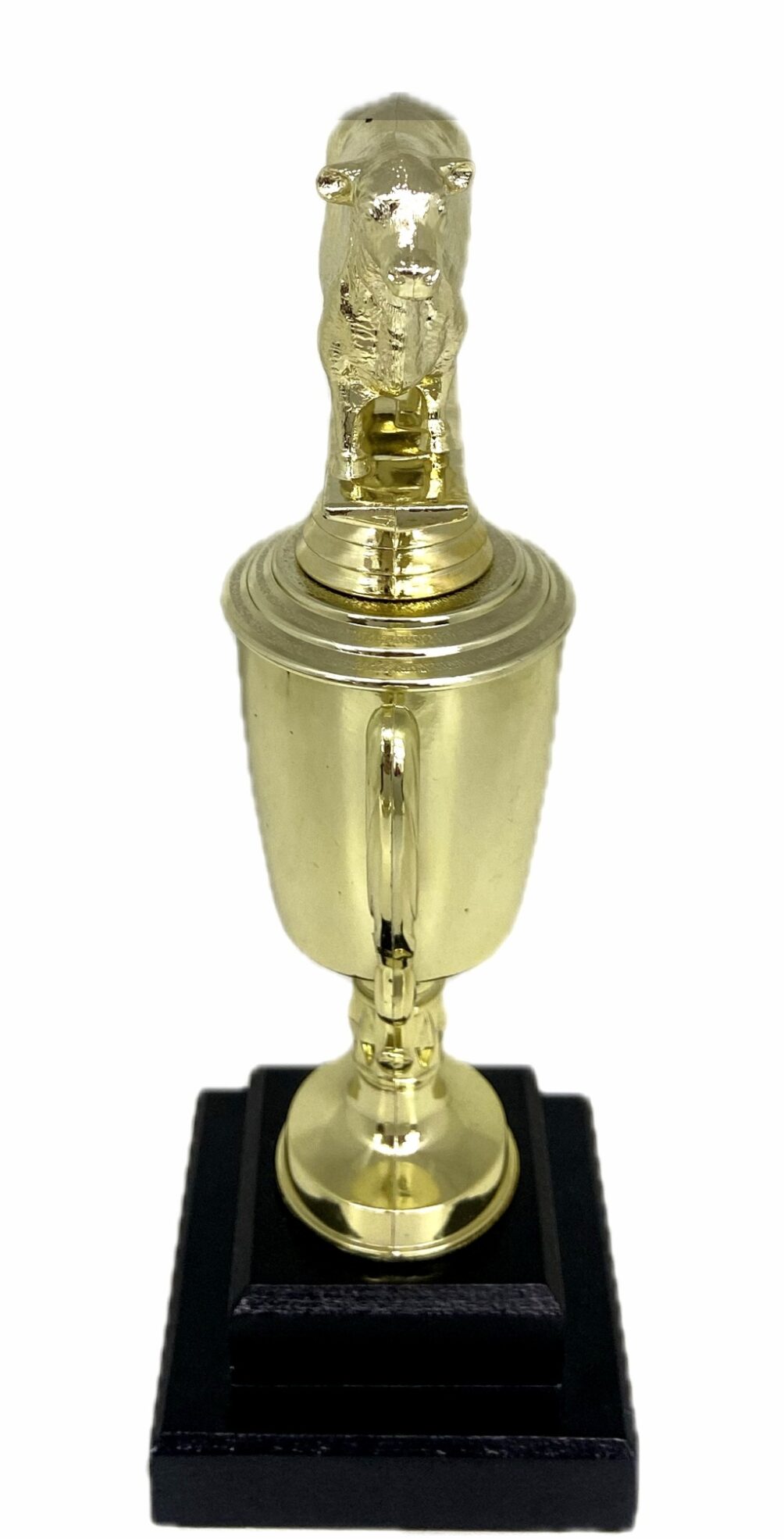 Angus Bull Trophy 315mm