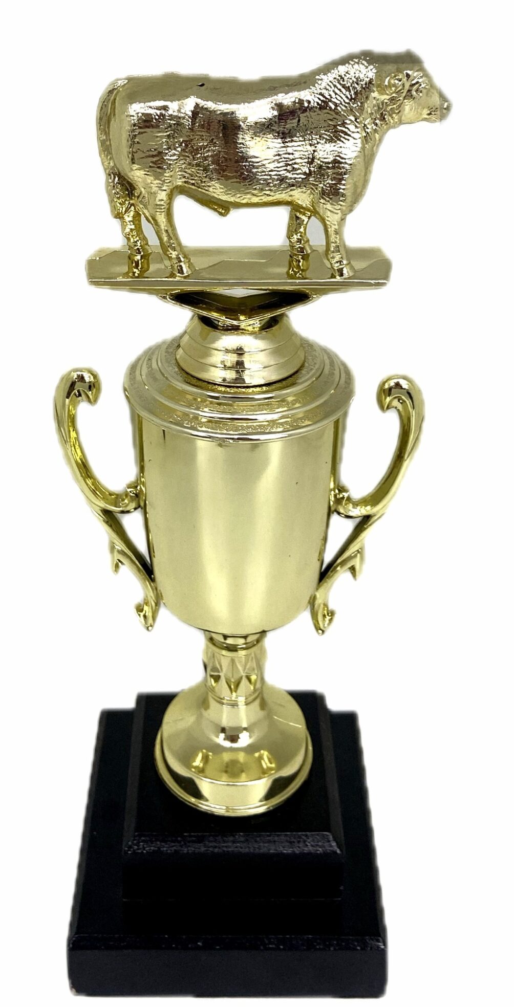 Angus Bull Trophy 315mm