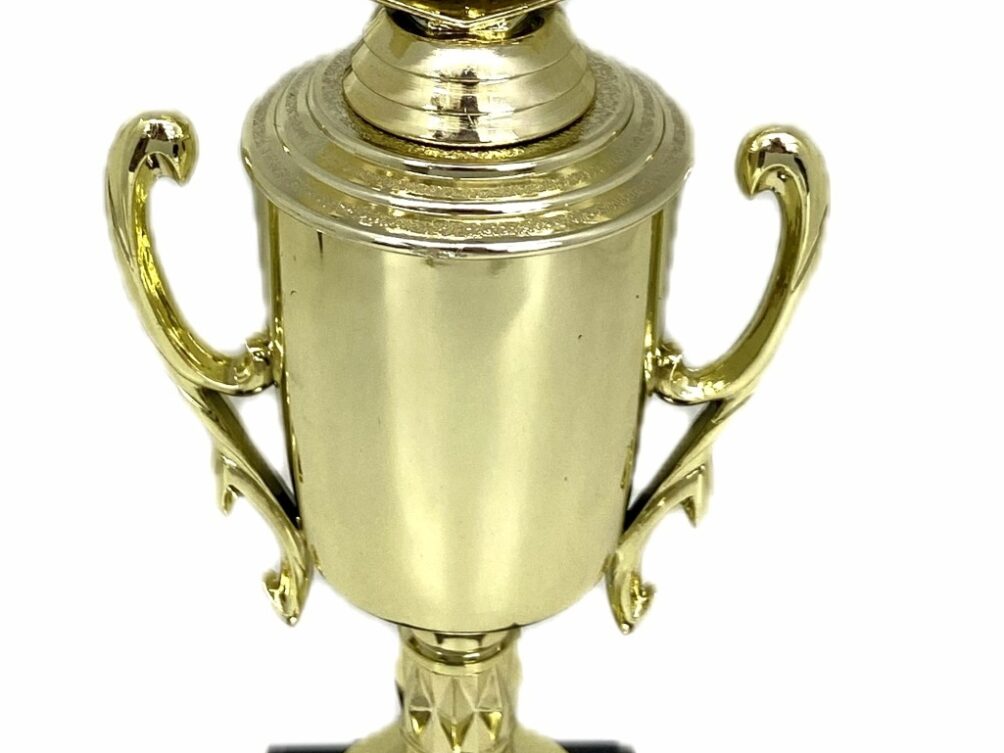 Angus Bull Trophy 315mm