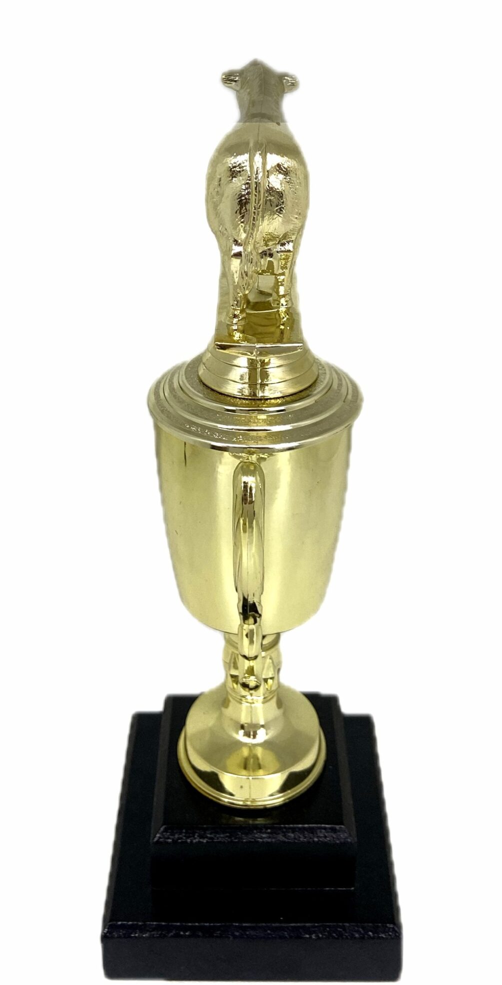 Angus Bull Trophy 315mm