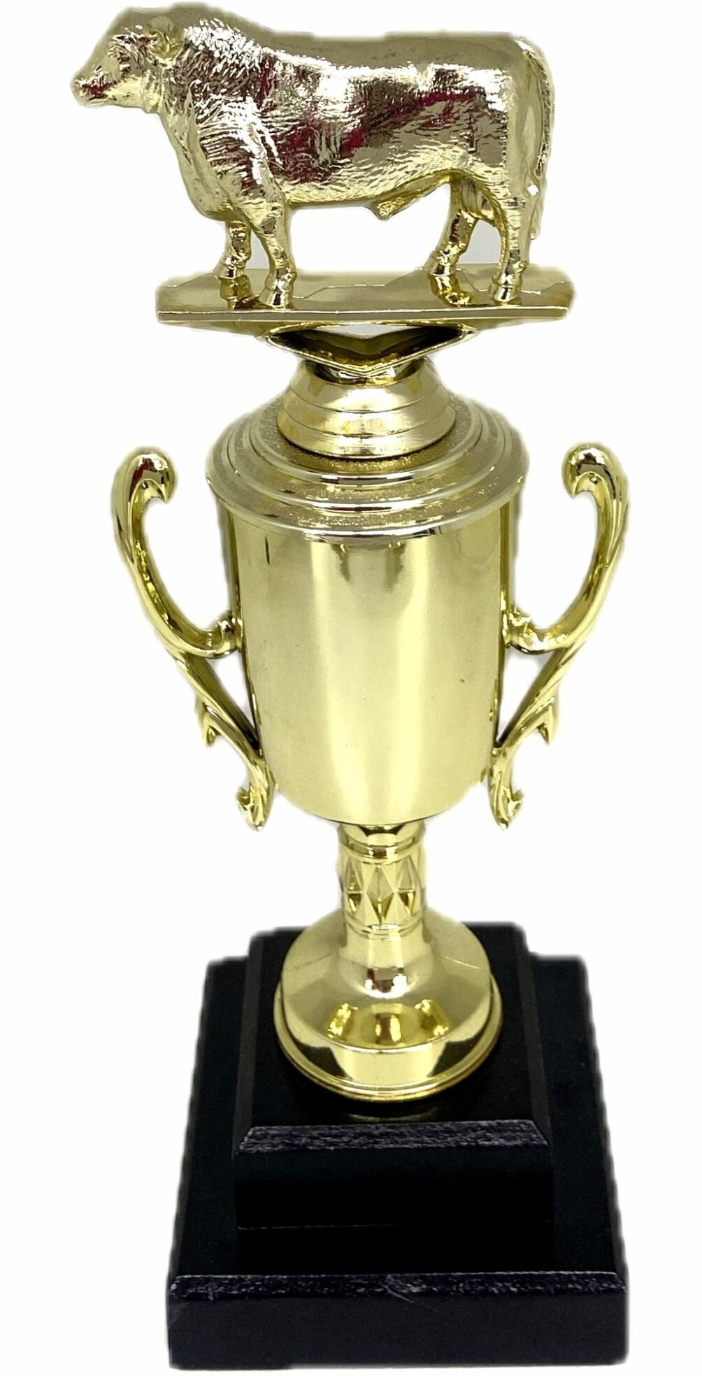 Angus Bull Trophy 355mm
