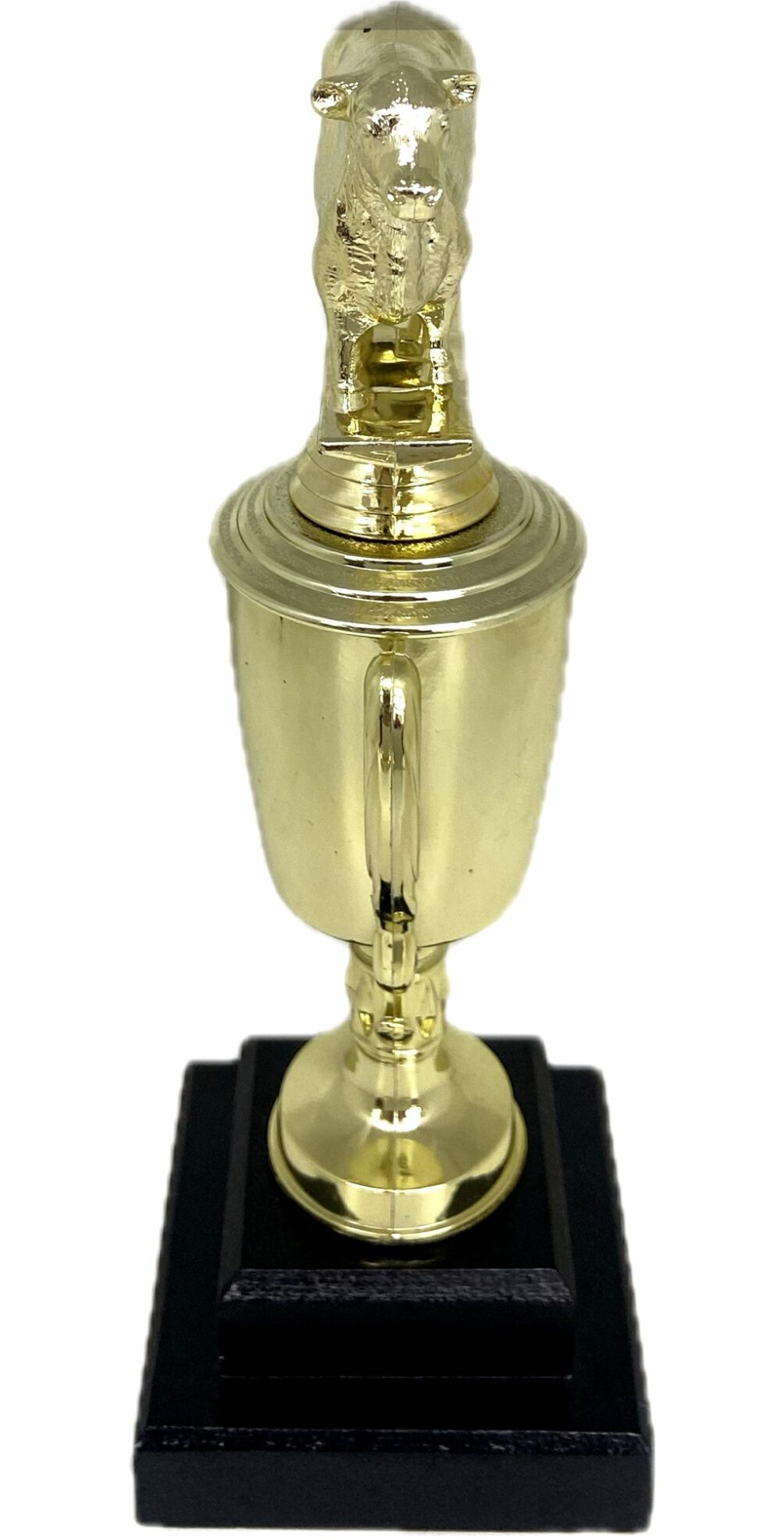 Angus Bull Trophy 355mm