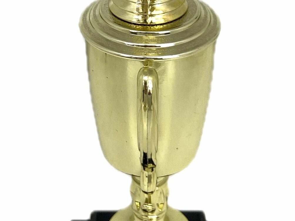 Angus Bull Trophy 355mm