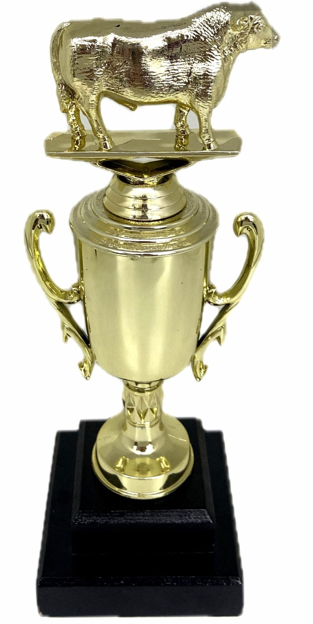 Angus Bull Trophy 355mm