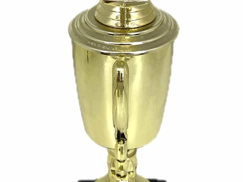 Angus Bull Trophy 355mm