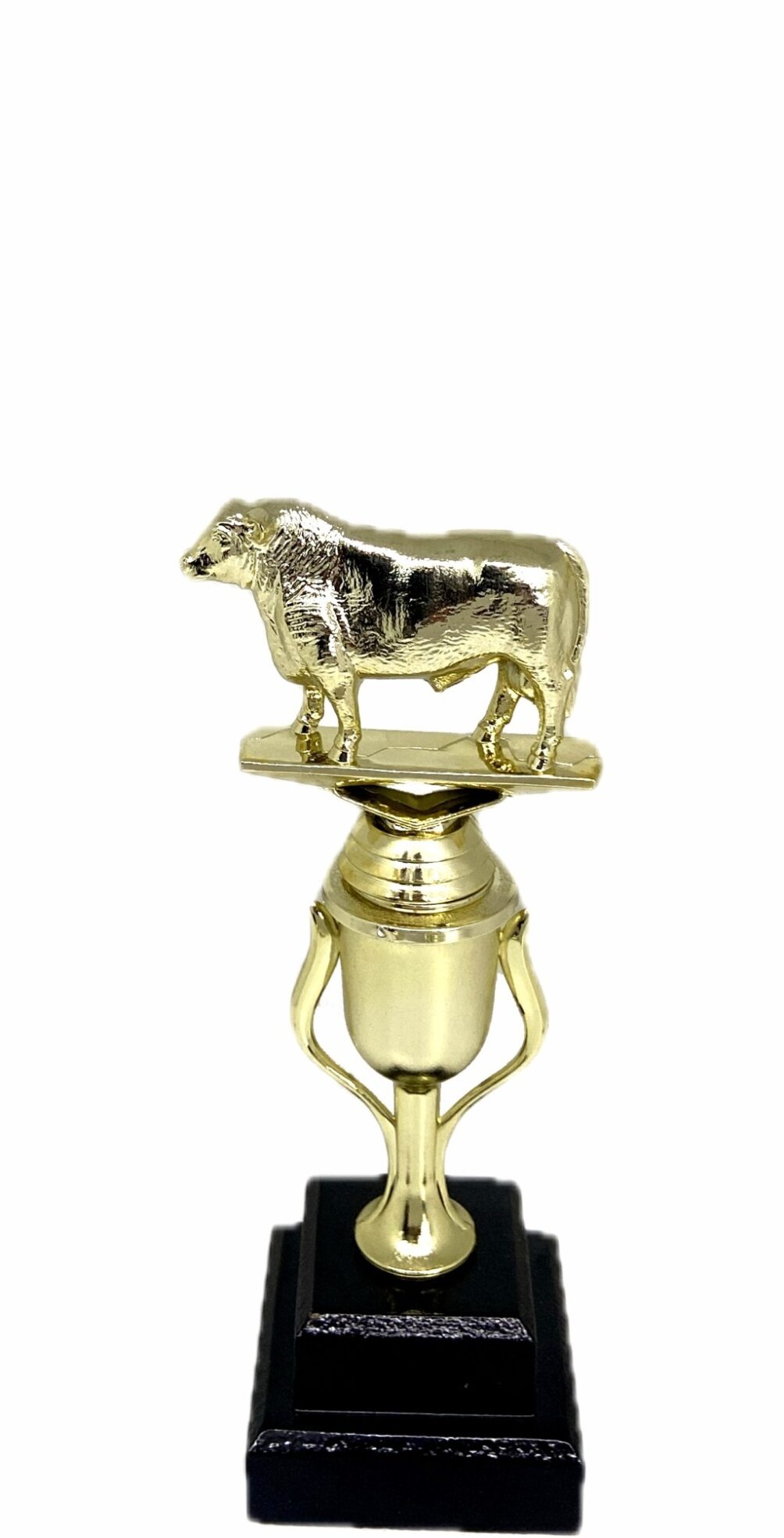 Angus Bull Trophy 215mm