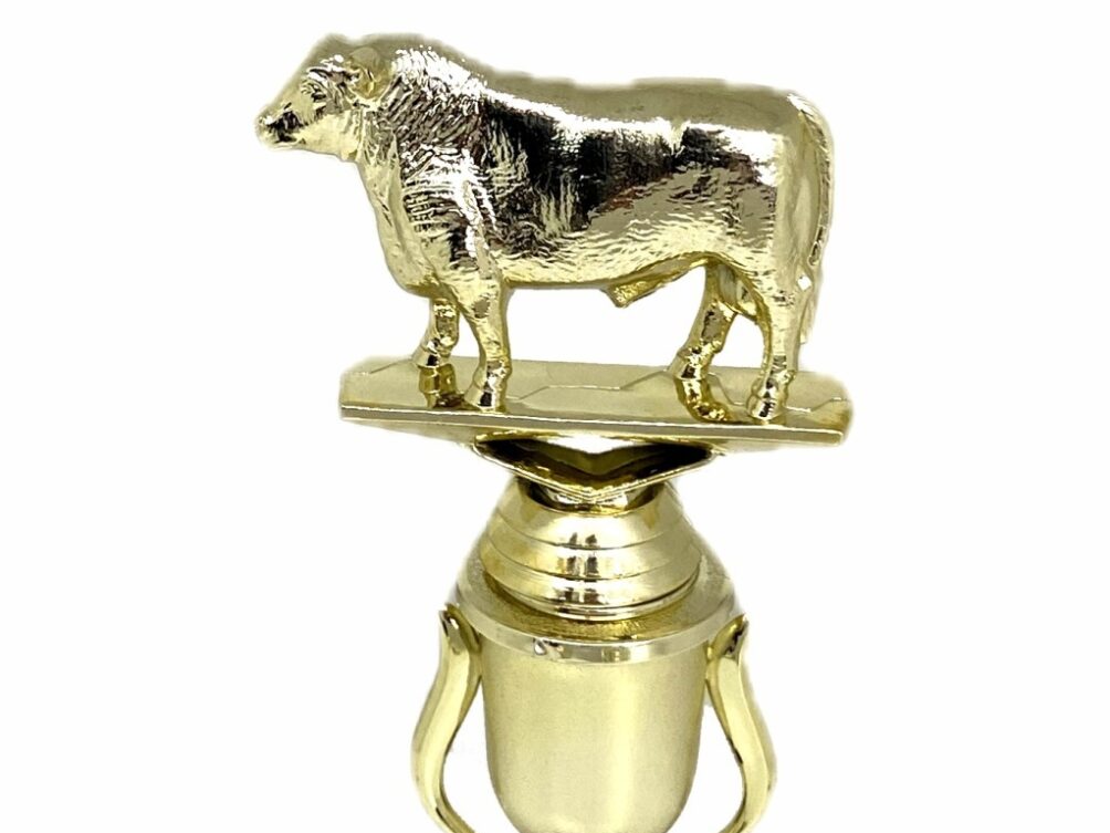 Angus Bull Trophy 215mm