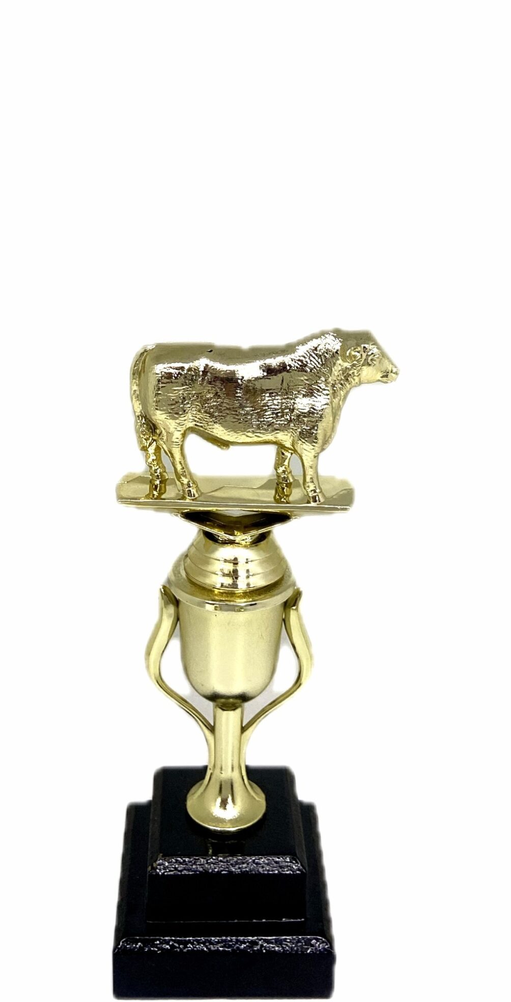 Angus Bull Trophy 215mm