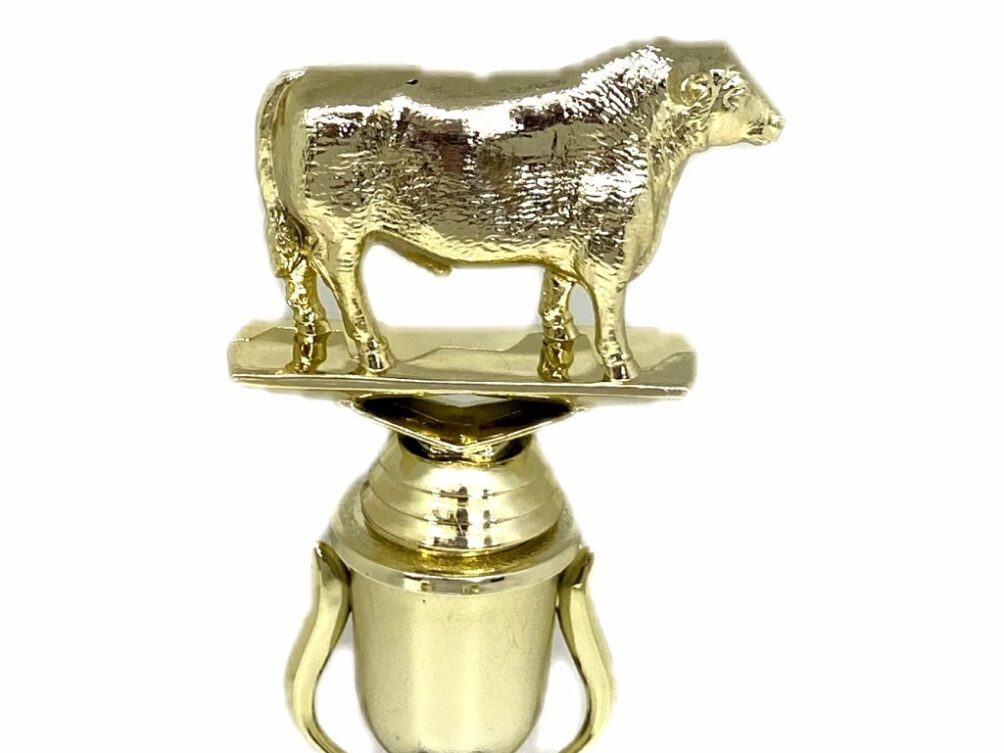 Angus Bull Trophy 215mm