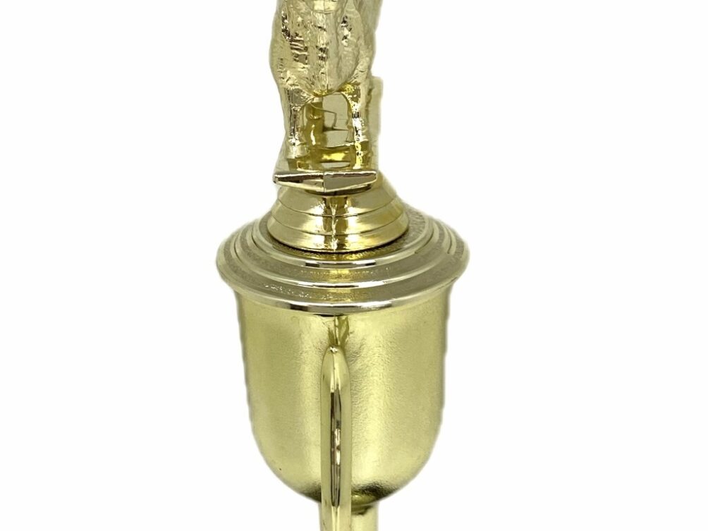 Angus Bull Trophy 240mm