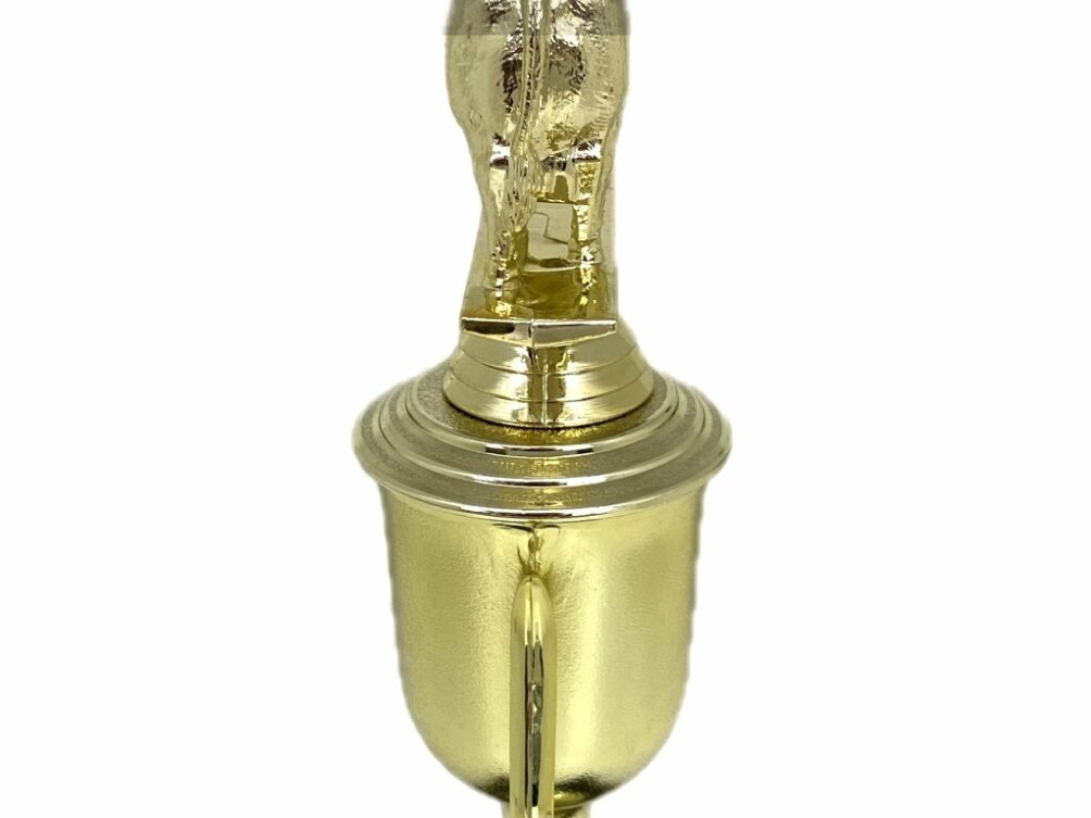 Angus Bull Trophy 240mm
