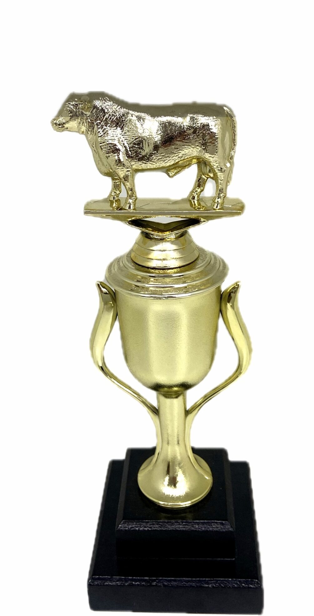 Angus Bull Trophy 275mm