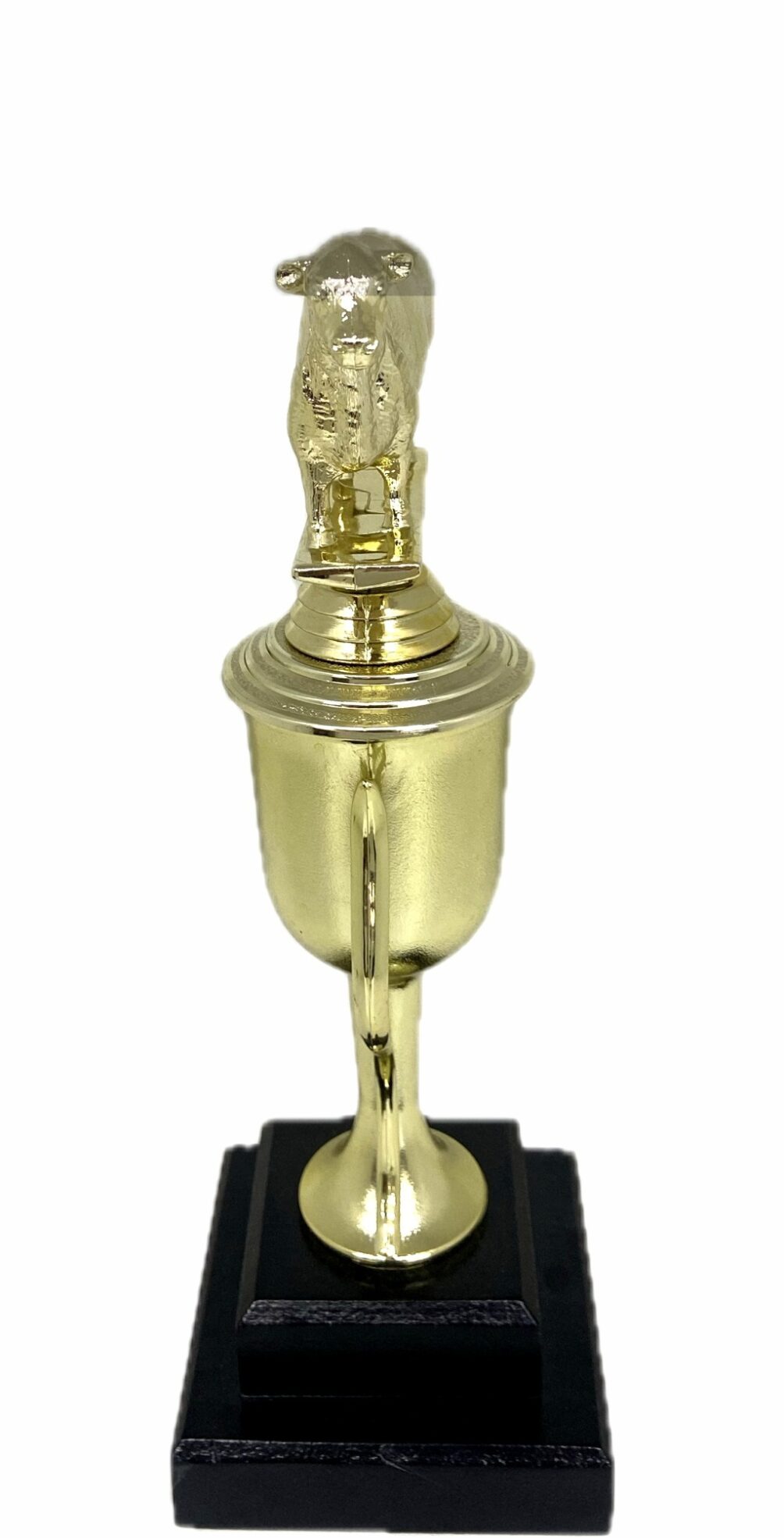 Angus Bull Trophy 275mm