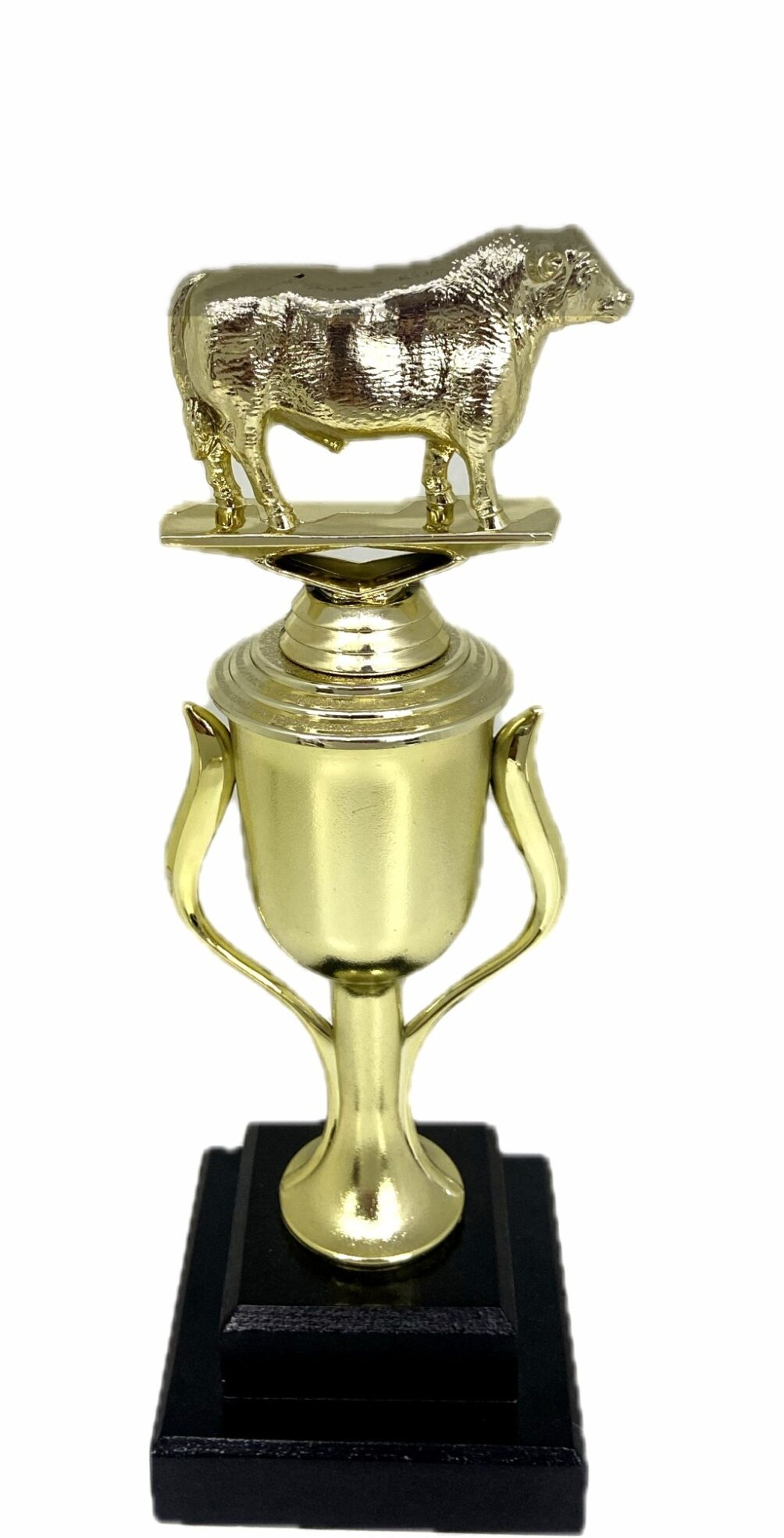 Angus Bull Trophy 275mm