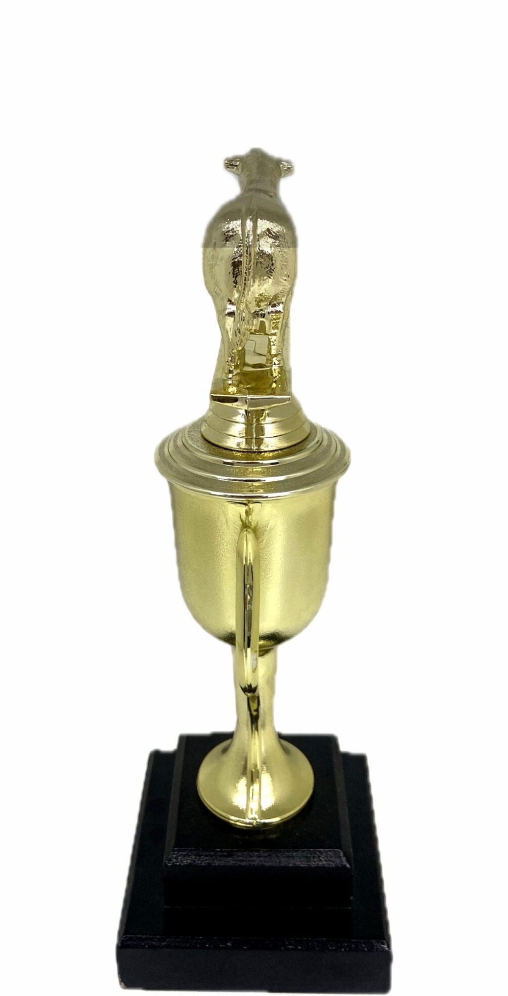 Angus Bull Trophy 275mm